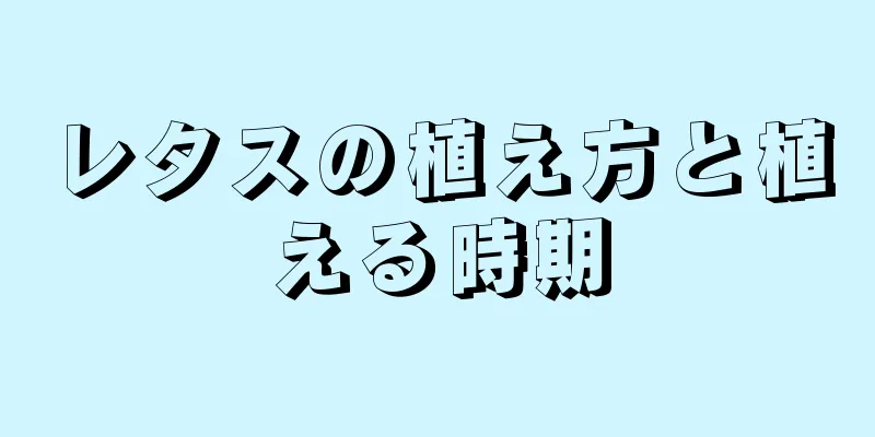 レタスの植え方と植える時期