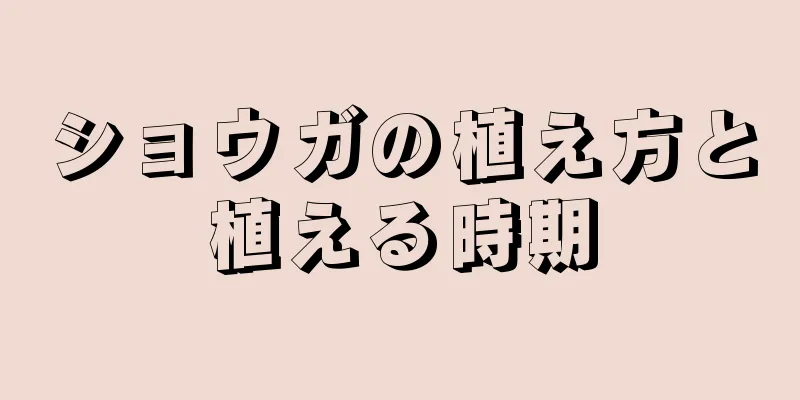 ショウガの植え方と植える時期