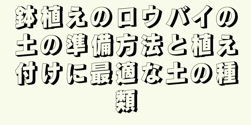 鉢植えのロウバイの土の準備方法と植え付けに最適な土の種類