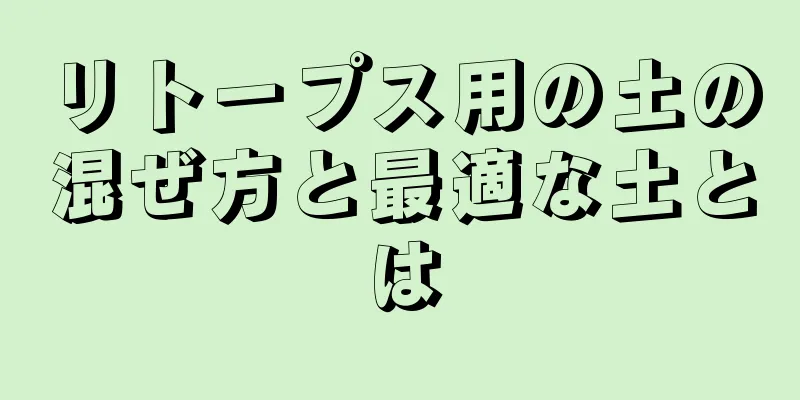 リトープス用の土の混ぜ方と最適な土とは