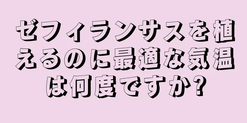 ゼフィランサスを植えるのに最適な気温は何度ですか?