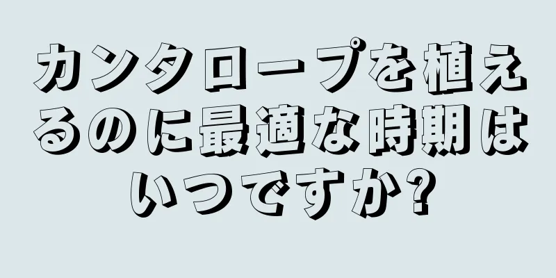 カンタロープを植えるのに最適な時期はいつですか?