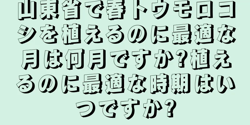 山東省で春トウモロコシを植えるのに最適な月は何月ですか?植えるのに最適な時期はいつですか?
