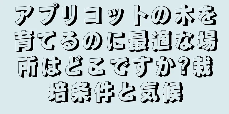 アプリコットの木を育てるのに最適な場所はどこですか?栽培条件と気候