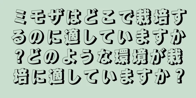 ミモザはどこで栽培するのに適していますか?どのような環境が栽培に適していますか？