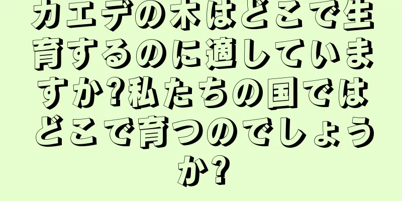 カエデの木はどこで生育するのに適していますか?私たちの国ではどこで育つのでしょうか?