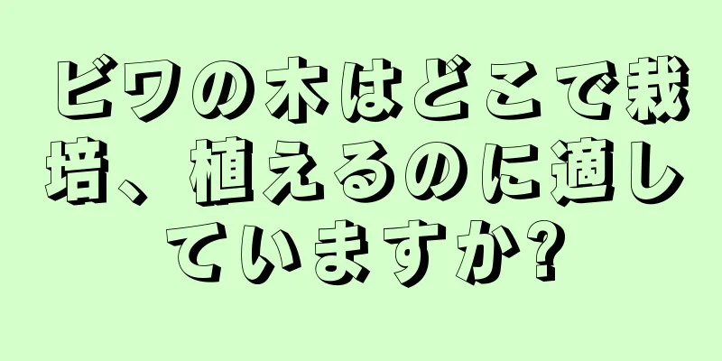 ビワの木はどこで栽培、植えるのに適していますか?
