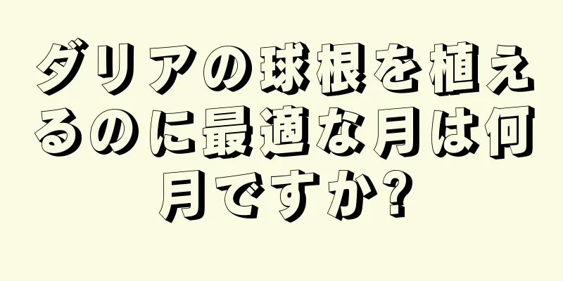 ダリアの球根を植えるのに最適な月は何月ですか?