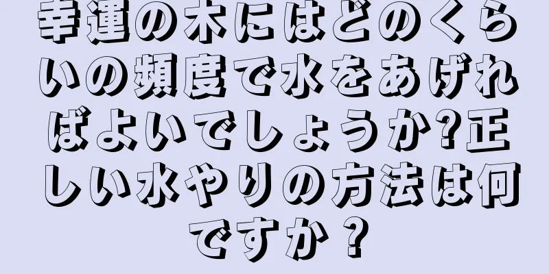 幸運の木にはどのくらいの頻度で水をあげればよいでしょうか?正しい水やりの方法は何ですか？