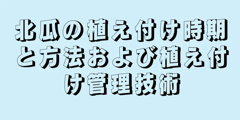 北瓜の植え付け時期と方法および植え付け管理技術
