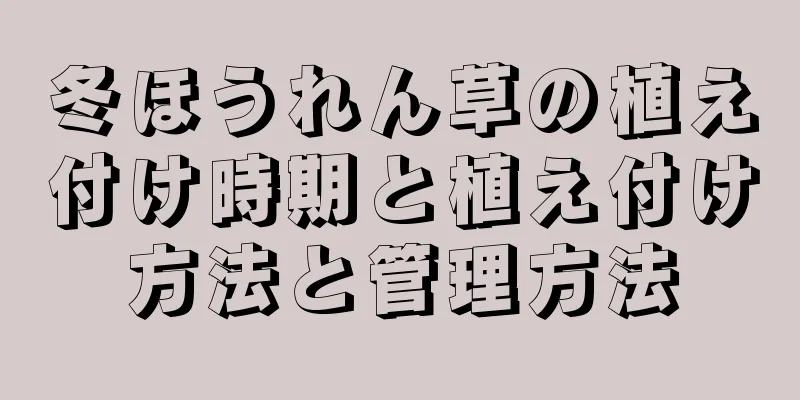 冬ほうれん草の植え付け時期と植え付け方法と管理方法