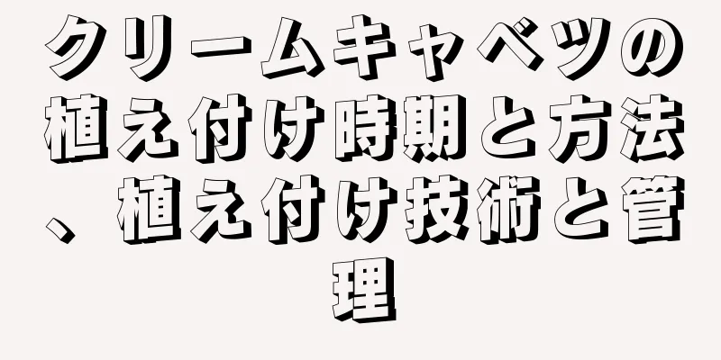 クリームキャベツの植え付け時期と方法、植え付け技術と管理
