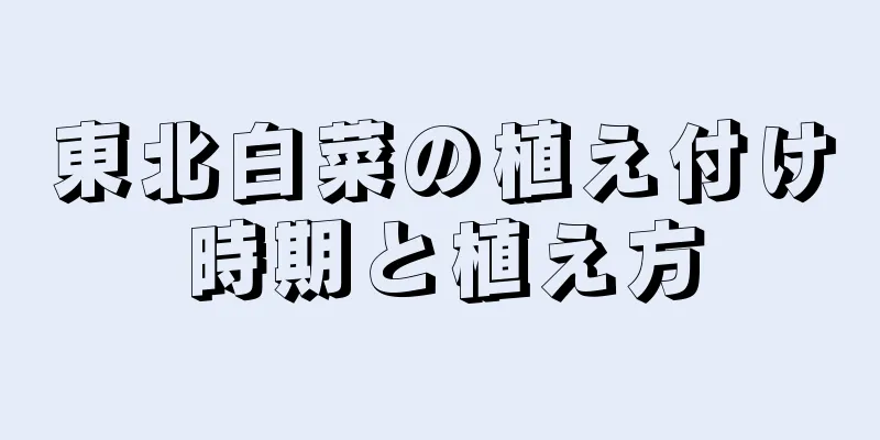 東北白菜の植え付け時期と植え方