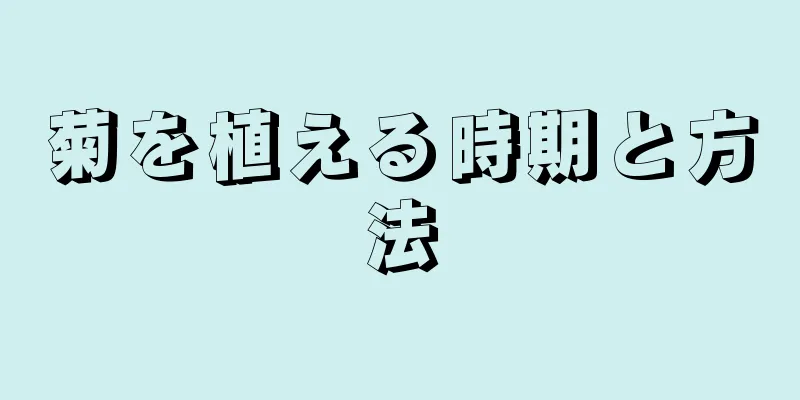 菊を植える時期と方法