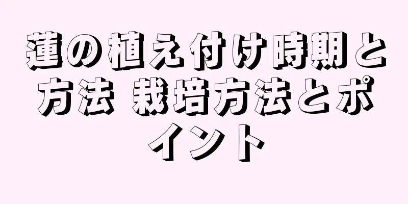 蓮の植え付け時期と方法 栽培方法とポイント