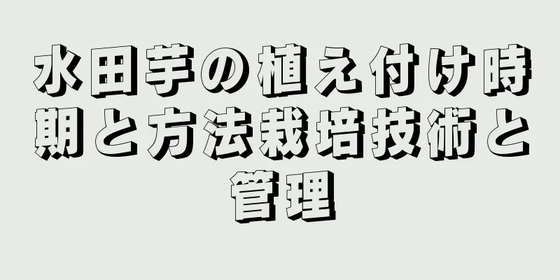 水田芋の植え付け時期と方法栽培技術と管理