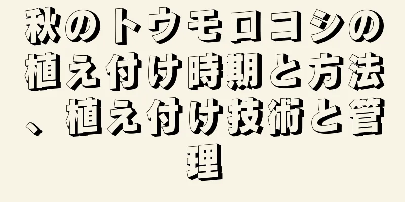 秋のトウモロコシの植え付け時期と方法、植え付け技術と管理