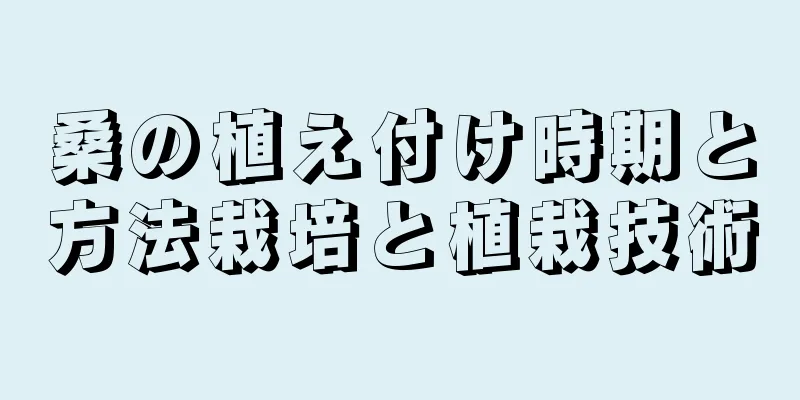桑の植え付け時期と方法栽培と植栽技術