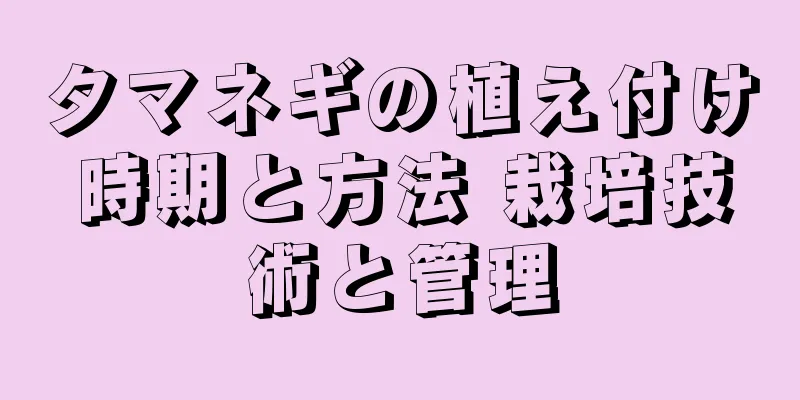 タマネギの植え付け時期と方法 栽培技術と管理