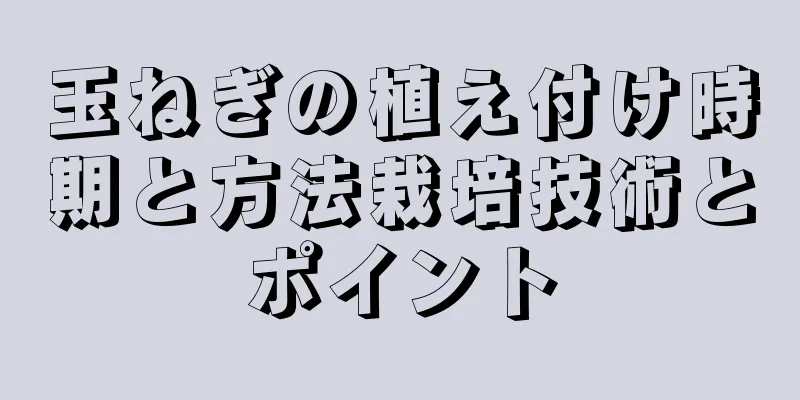 玉ねぎの植え付け時期と方法栽培技術とポイント