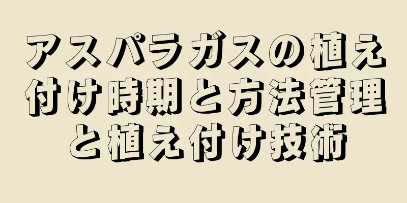 アスパラガスの植え付け時期と方法管理と植え付け技術