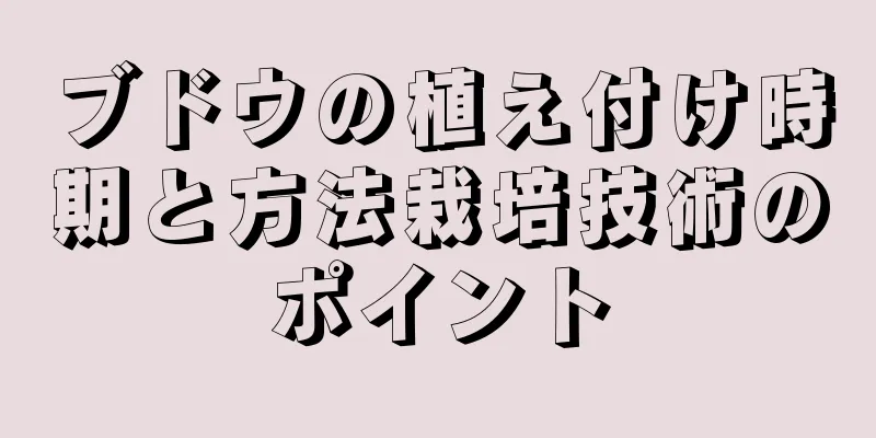 ブドウの植え付け時期と方法栽培技術のポイント