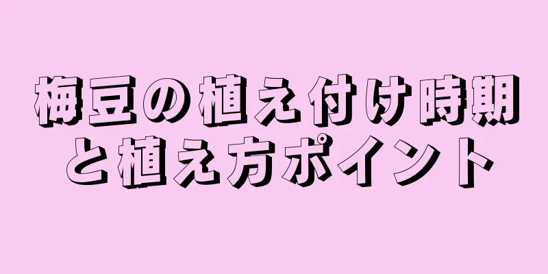 梅豆の植え付け時期と植え方ポイント