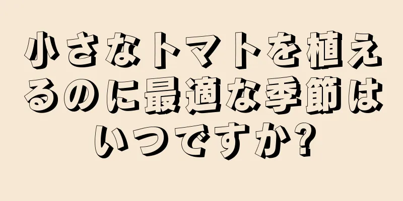 小さなトマトを植えるのに最適な季節はいつですか?