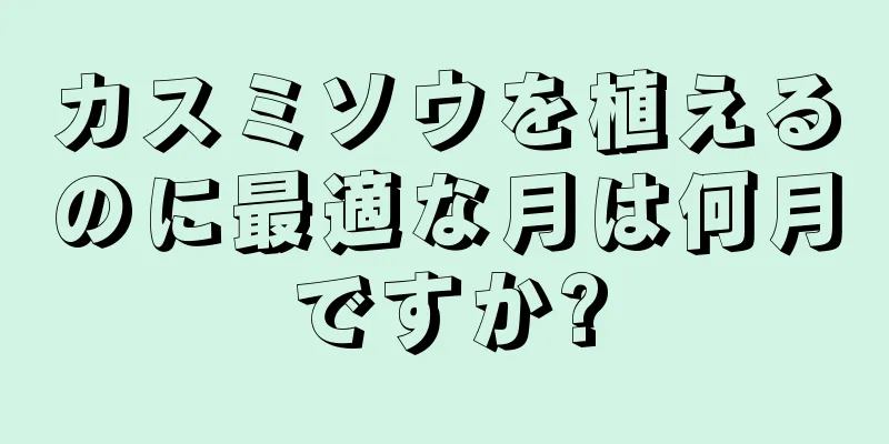 カスミソウを植えるのに最適な月は何月ですか?