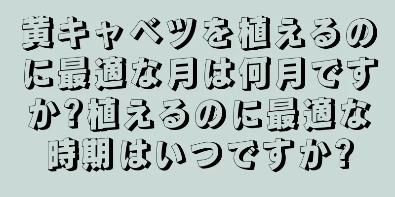 黄キャベツを植えるのに最適な月は何月ですか?植えるのに最適な時期はいつですか?