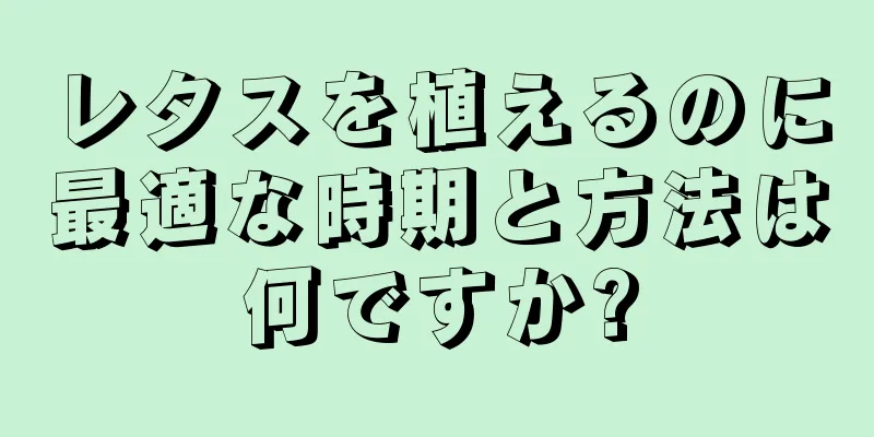 レタスを植えるのに最適な時期と方法は何ですか?