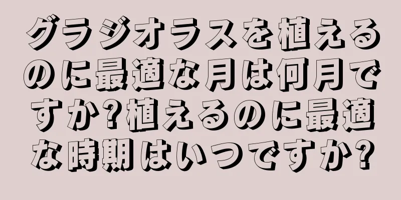 グラジオラスを植えるのに最適な月は何月ですか?植えるのに最適な時期はいつですか?