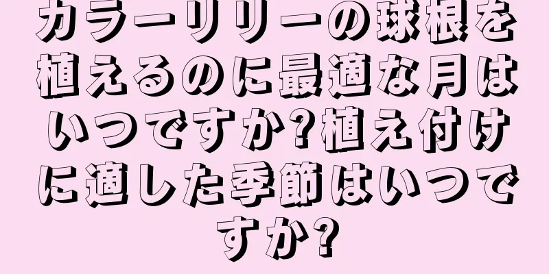 カラーリリーの球根を植えるのに最適な月はいつですか?植え付けに適した季節はいつですか?