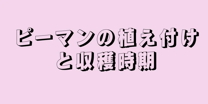 ピーマンの植え付けと収穫時期