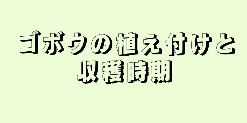 ゴボウの植え付けと収穫時期