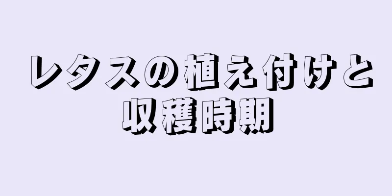 レタスの植え付けと収穫時期