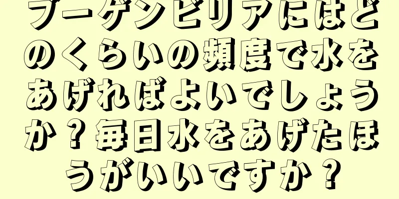 ブーゲンビリアにはどのくらいの頻度で水をあげればよいでしょうか？毎日水をあげたほうがいいですか？