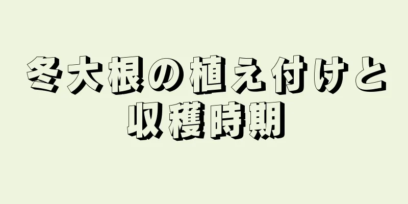 冬大根の植え付けと収穫時期
