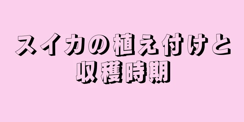 スイカの植え付けと収穫時期