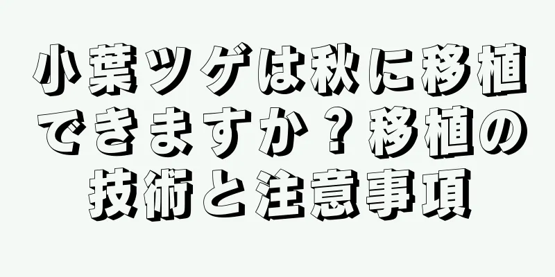 小葉ツゲは秋に移植できますか？移植の技術と注意事項