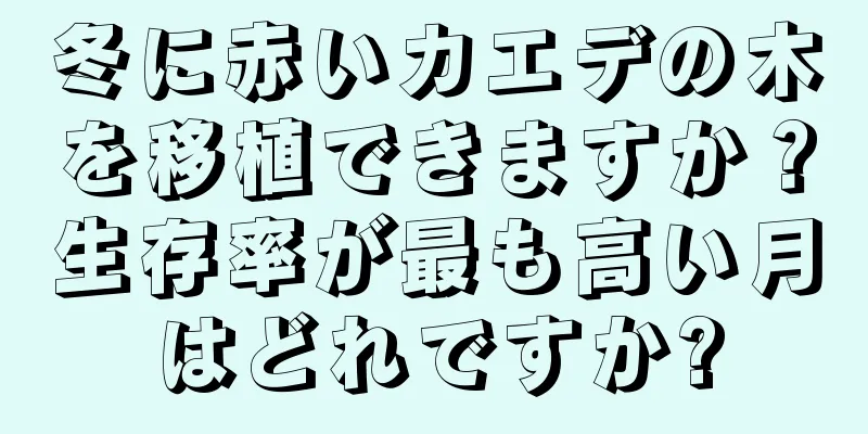 冬に赤いカエデの木を移植できますか？生存率が最も高い月はどれですか?