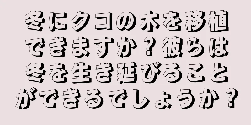 冬にクコの木を移植できますか？彼らは冬を生き延びることができるでしょうか？