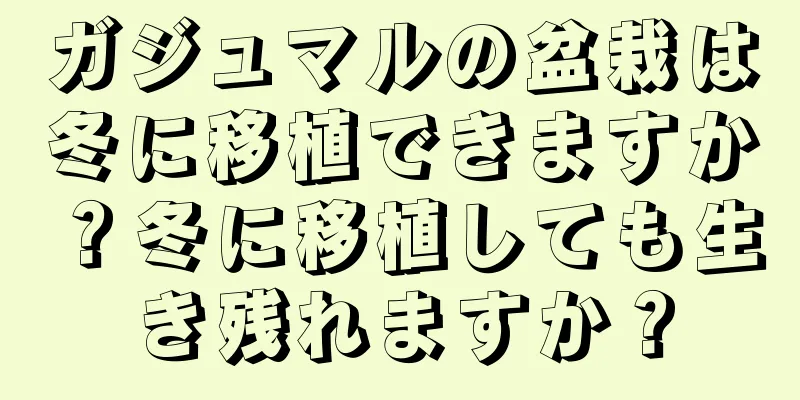 ガジュマルの盆栽は冬に移植できますか？冬に移植しても生き残れますか？