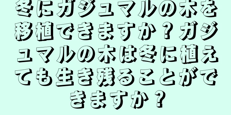 冬にガジュマルの木を移植できますか？ガジュマルの木は冬に植えても生き残ることができますか？