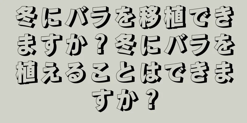 冬にバラを移植できますか？冬にバラを植えることはできますか？