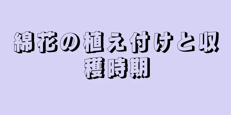 綿花の植え付けと収穫時期