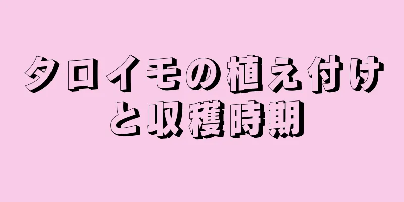 タロイモの植え付けと収穫時期