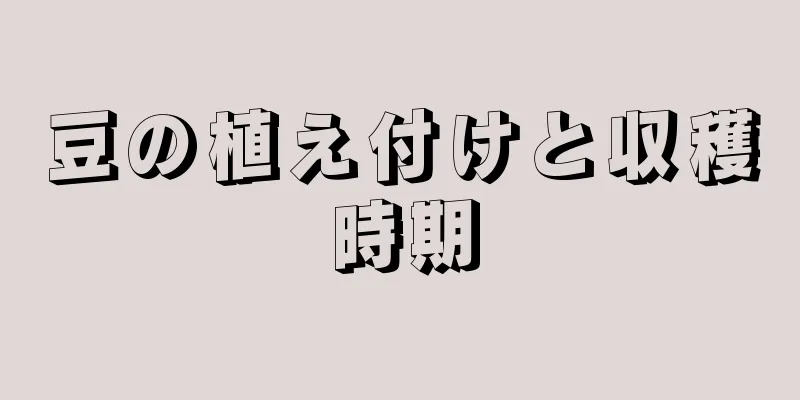 豆の植え付けと収穫時期