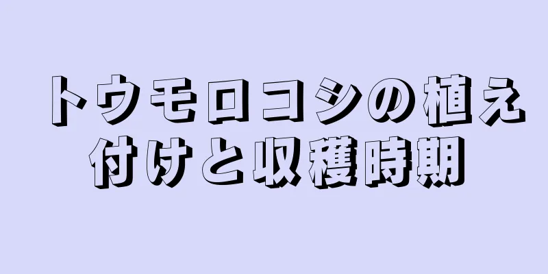 トウモロコシの植え付けと収穫時期