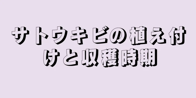 サトウキビの植え付けと収穫時期